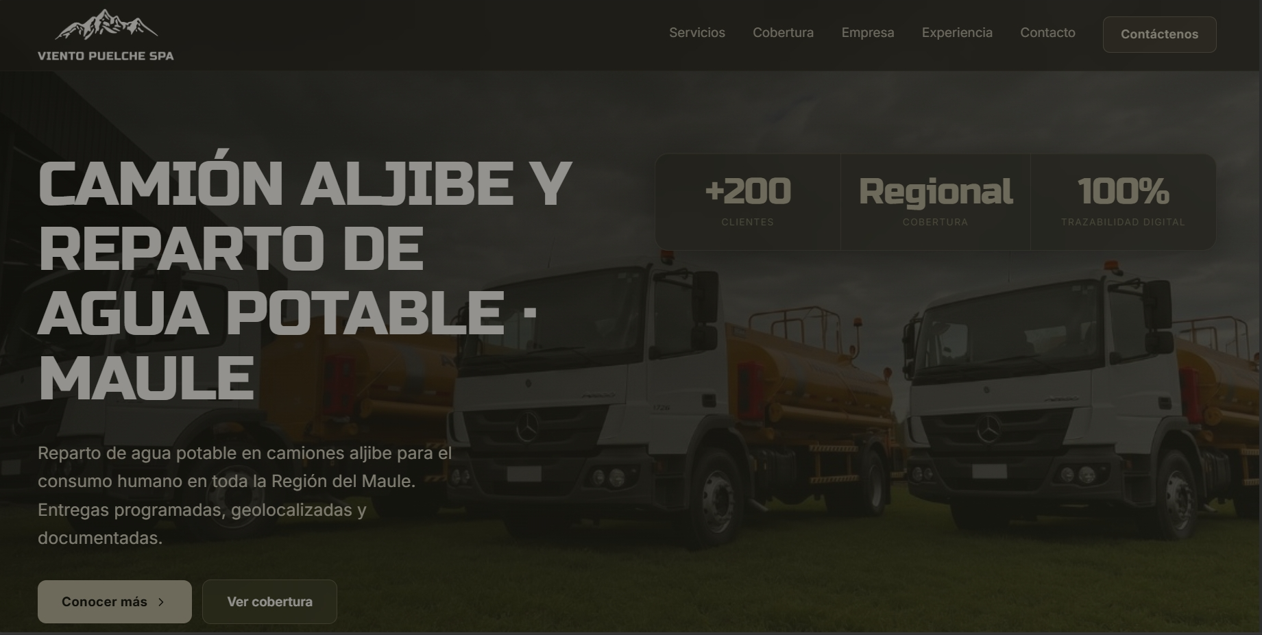 Captura del proyecto Viento Puelche SpA